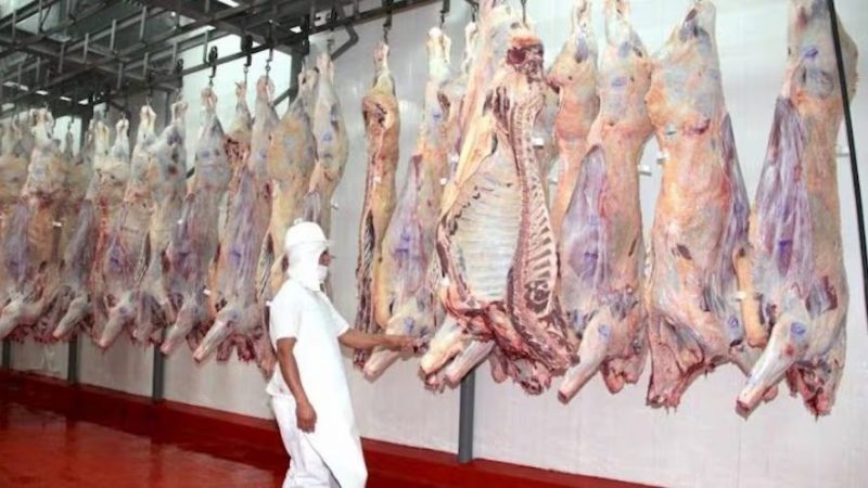 Sector cárnico destaca importancia de la auditoría que Japón inició en el país