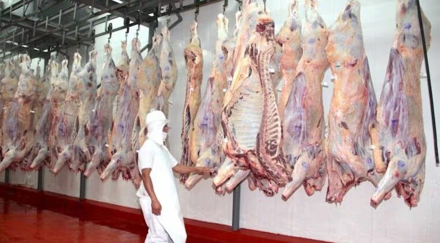 Sector cárnico destaca importancia de la auditoría que Japón inició en el país