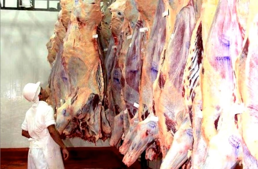 Panamá abre su mercado a la carne paraguaya