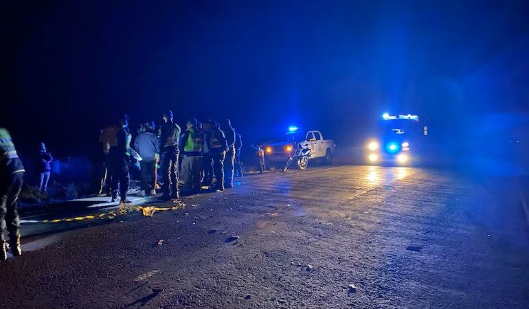 Una vaca suelta provoca tragedia en Misiones: joven murió tras chocar contra animal