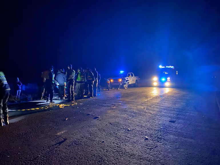 Una vaca suelta provoca tragedia en Misiones: joven murió tras chocar contra animal