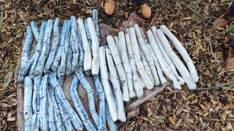 Hallan una caleta con 74 explosivos de alta potencia en Horqueta