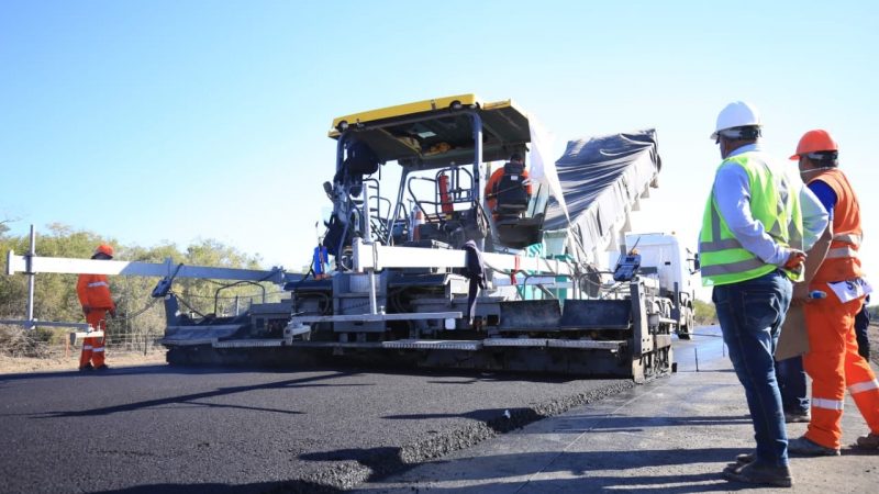 Ruta Bioceánica: avanza tramo clave con pasos de fauna