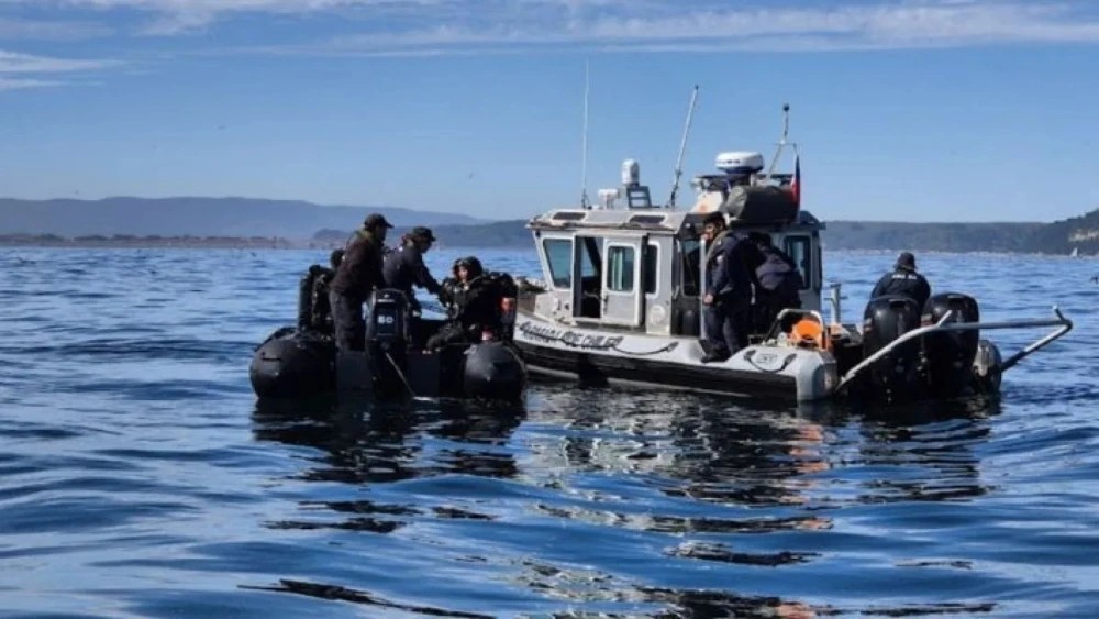 Milagro en Magallanes: náufrago paraguayo revela pistas clave sobre sus compañeros desaparecidos