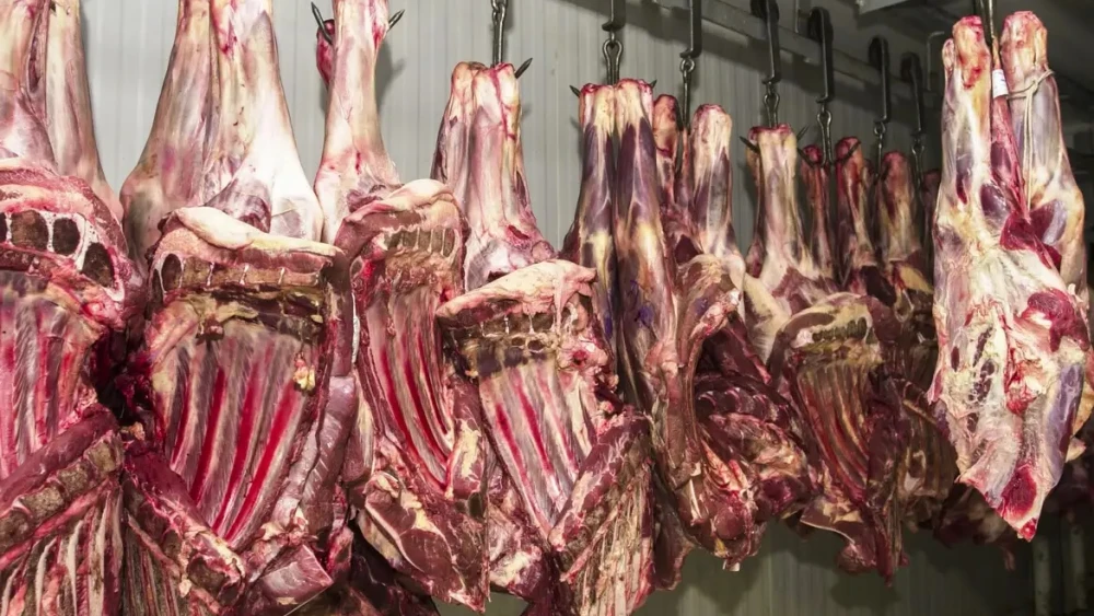 Senacsa confirma aumento de importación de carne por precios bajos y demanda estacional