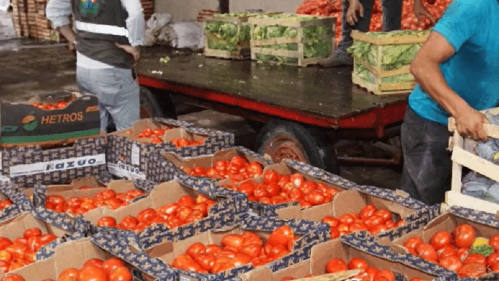 Importadores desmienten baja de precios de productos frutihortícolas