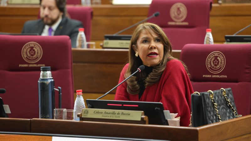 Represión reciclada: senadora Amarilla acusa a Riera de revivir la Policía stronista