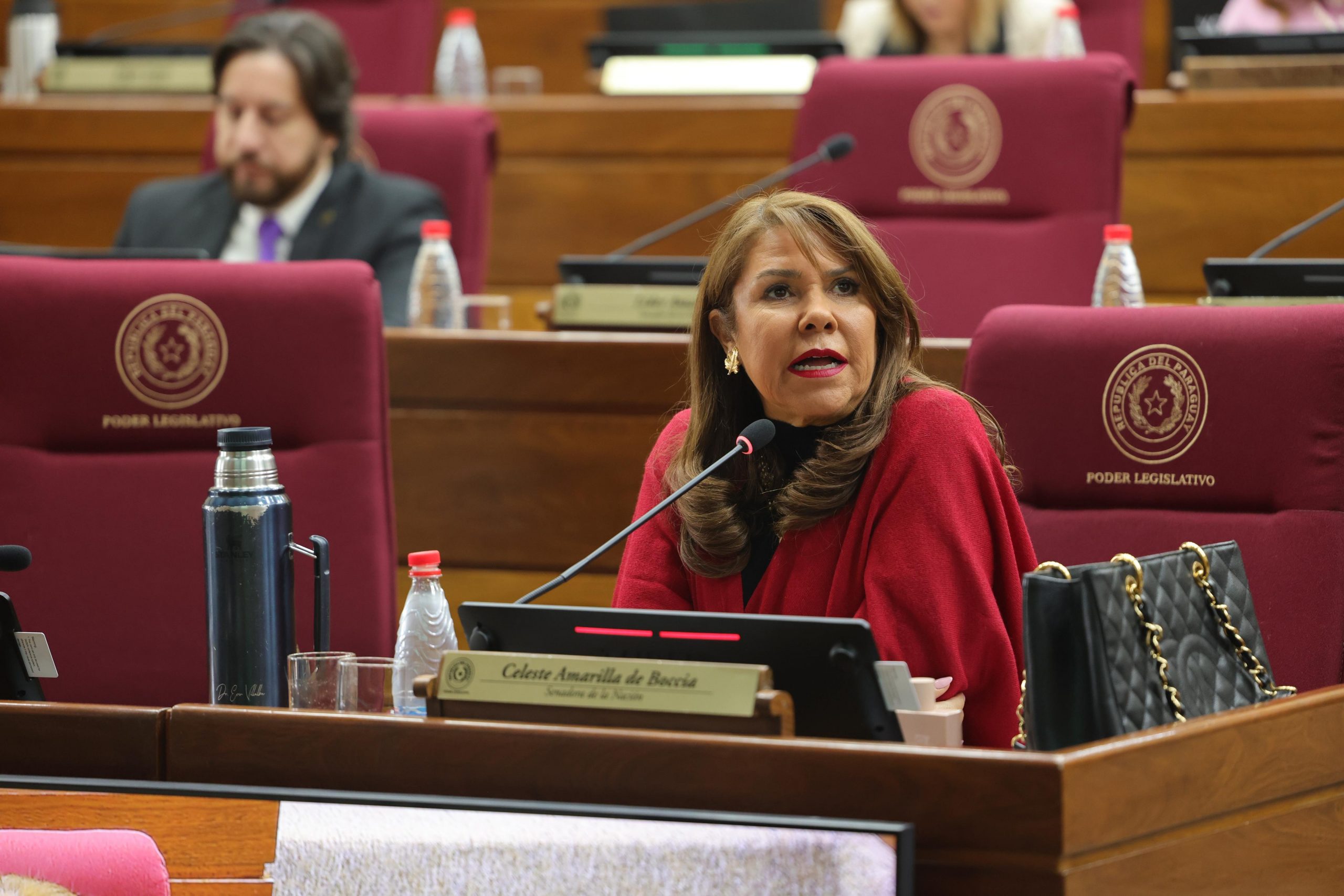 Represión reciclada: senadora Amarilla acusa a Riera de revivir la Policía stronista