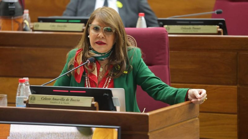Apuntan contra justicia dormida: senadora teme que caso Yamy Nal y Chaqueñito quede en el oparei