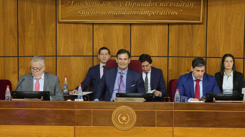 IPS arrastra deuda millonaria de la era Cartes y el Senado estalla