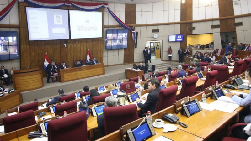 Diputados opositores repudian represión a jóvenes y el cartismo se ausenta del debate