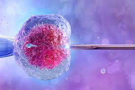 PRONARA: Un proyecto esperanzador, pero con grandes desafíos.