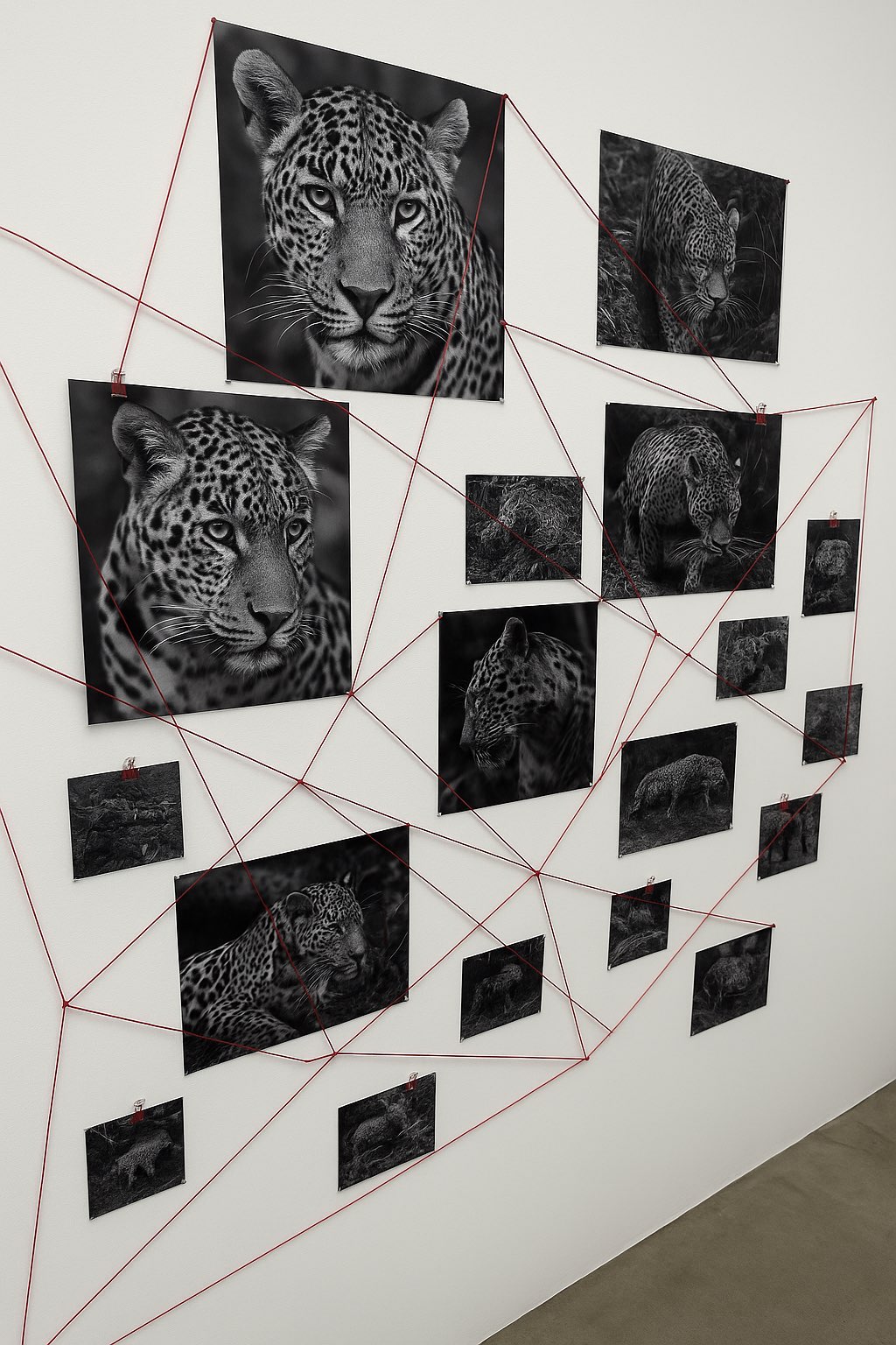 “Voces por el planeta”: lanzan beca para artistas que luchan contra la crisis climática