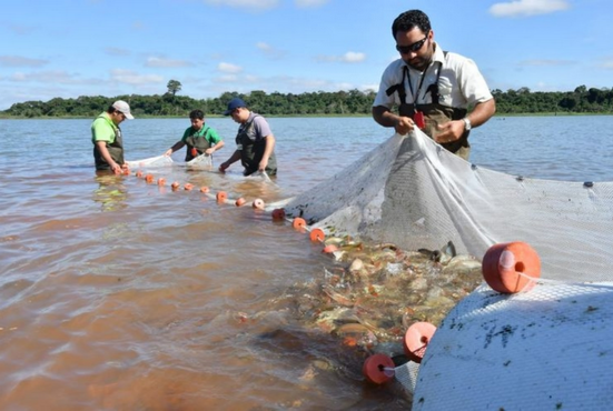 Veda pesquera inicia el 2 de noviembre y se extenderá por siete semanas