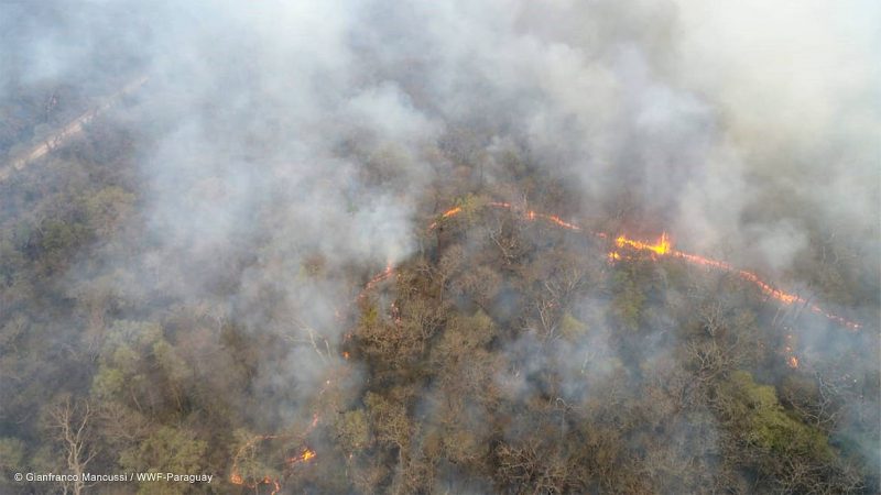 Sobreseimiento en caso Chovoreca: Fiscalía recurre a la Corte Suprema