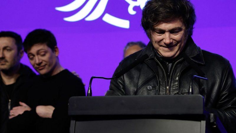 Victoria del Peronismo sobre el partido de Milei en Buenos Aires