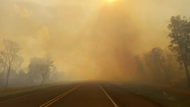 Incendio forestal afectó el 45% del Parque Nacional Cerro Corá