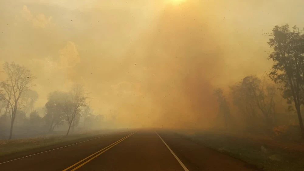 Incendio forestal afectó el 45% del Parque Nacional Cerro Corá