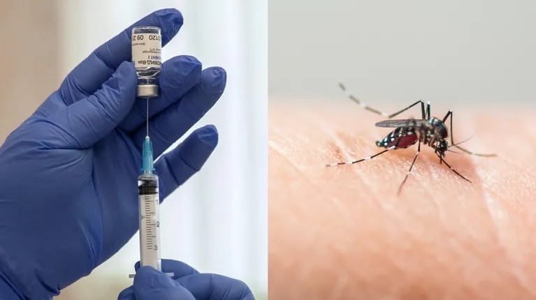 Paraguay tendrá vacunas contra el dengue y aplicará desde noviembre