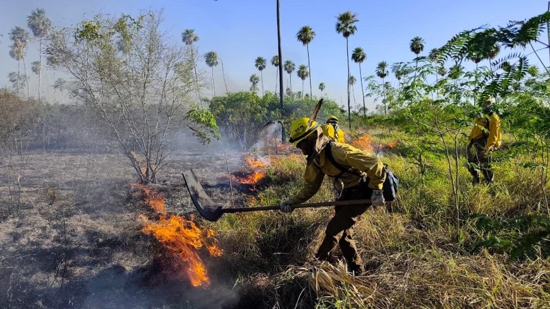 Incendios en el Chaco afectan más de 10.000 hectáreas en suelo paraguayo