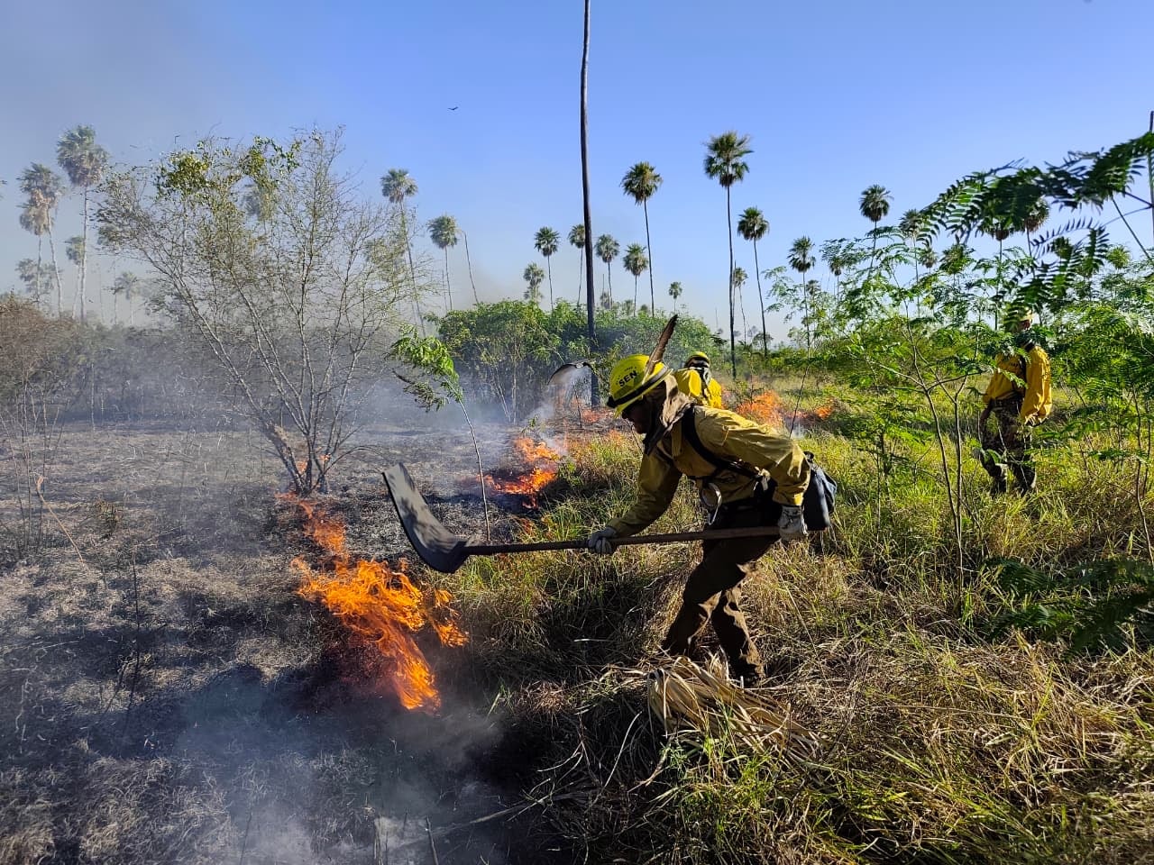 Incendios en el Chaco afectan más de 10.000 hectáreas en suelo paraguayo
