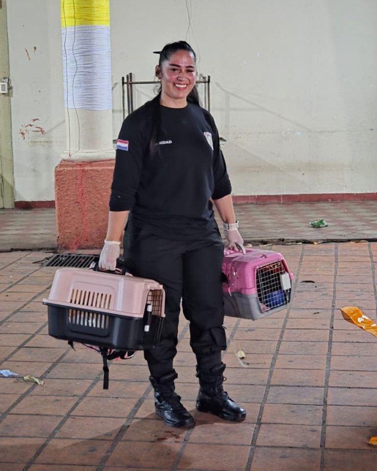 Gatos del Buen Pastor también fueron trasladados a nueva cárcel