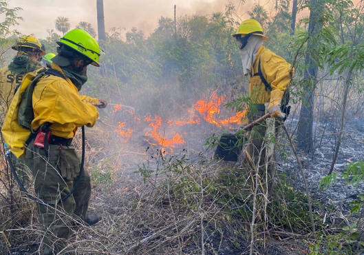 Bomberos forestales combaten incendio en Estancia Fortín Patria, cerca de frontera con Bolivia