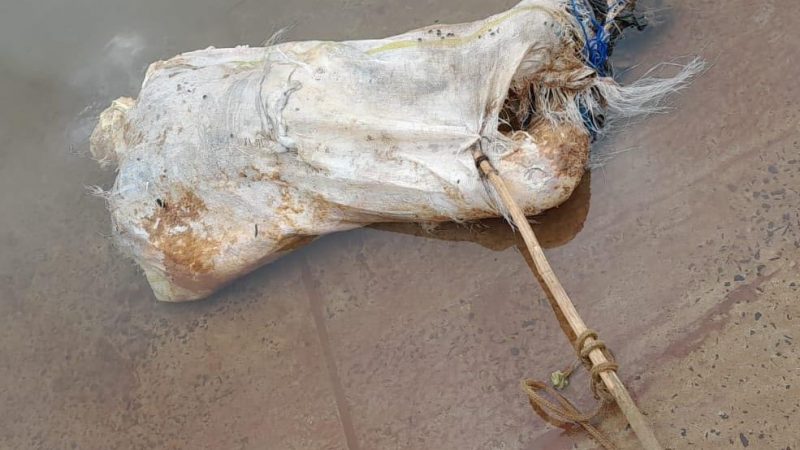 Hallan cadáver en una bolsa de arpillera en el río Paraná, Puerto Irala