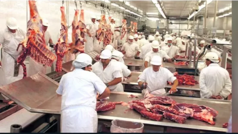 Medios brasileños se muestran preocupados por el aumento de la importación de carne desde Paraguay