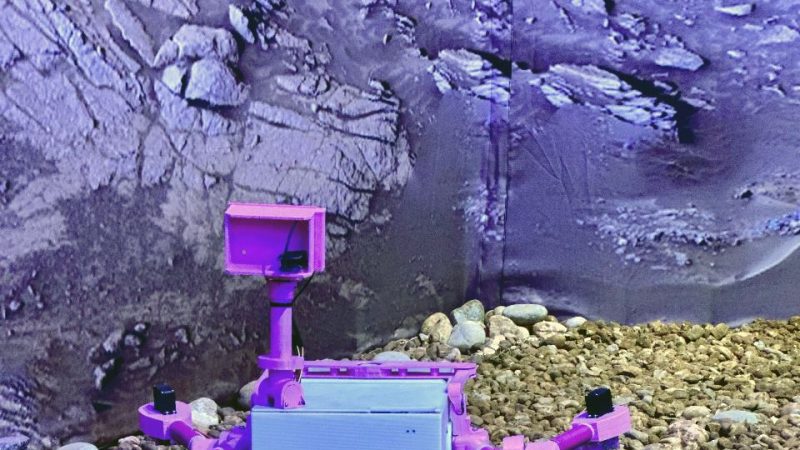 MuCi inaugura “ASTRA”: ciencia, arte y cosmovisión guaraní en una experiencia inmersiva única