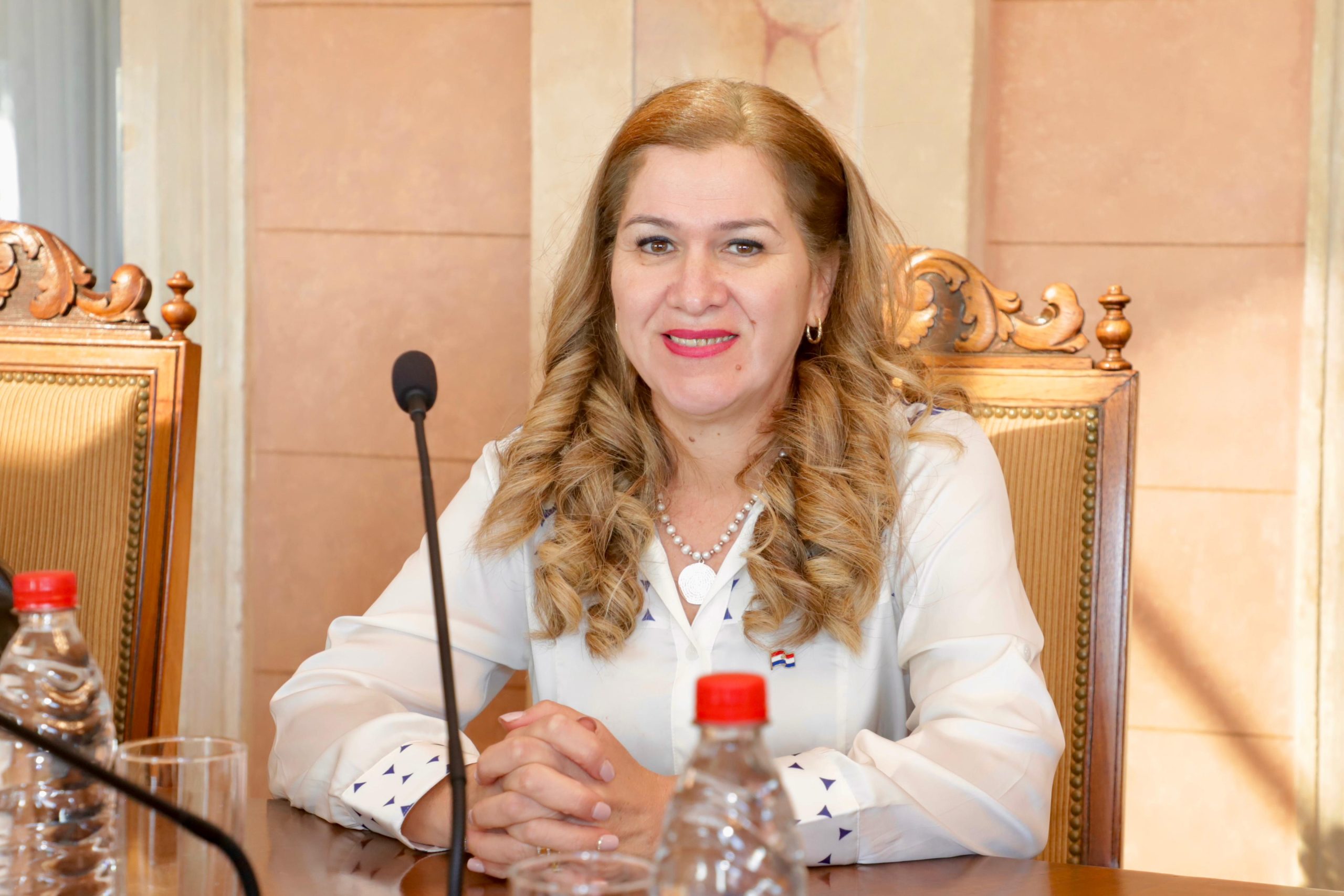 Ministra habla de “inversión histórica en Salud” y ratifica la estrategia del Gobierno