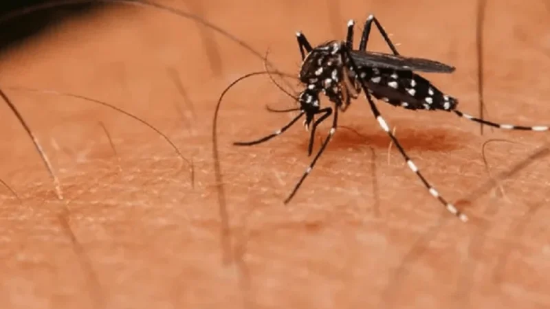 Salud advierte sobre riesgo de epidemia de dengue por reintroducción del serotipo 3