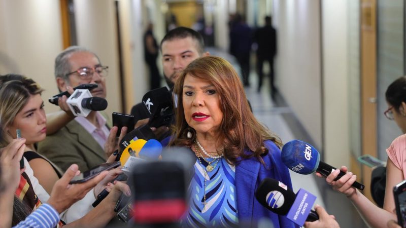 Celeste Amarilla denuncia vulnerabilidad en las máquinas y pide volver a las papeletas