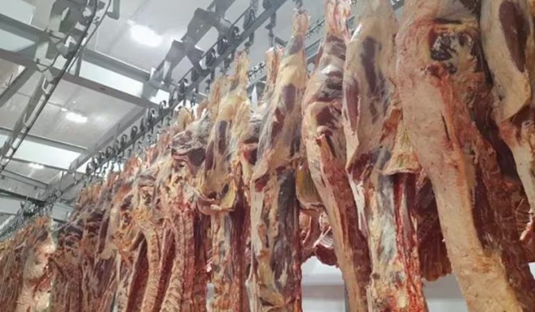 Ingreso de nuevas industrias dinamiza el mercado paraguayo de la carne