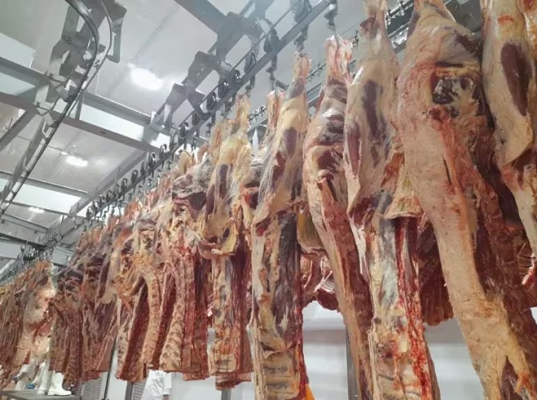 Ingreso de nuevas industrias dinamiza el mercado paraguayo de la carne