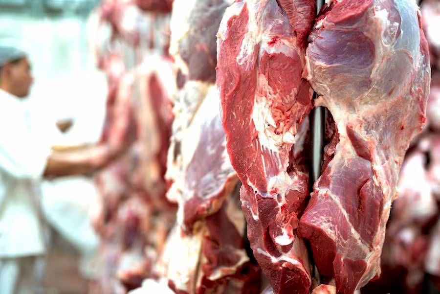 Precio de la carne preocupa a ganaderos pese a caída en la cotización para el productor