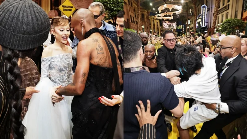 Mandan a la cárcel al fan que se lanzó sobre Ariana Grande