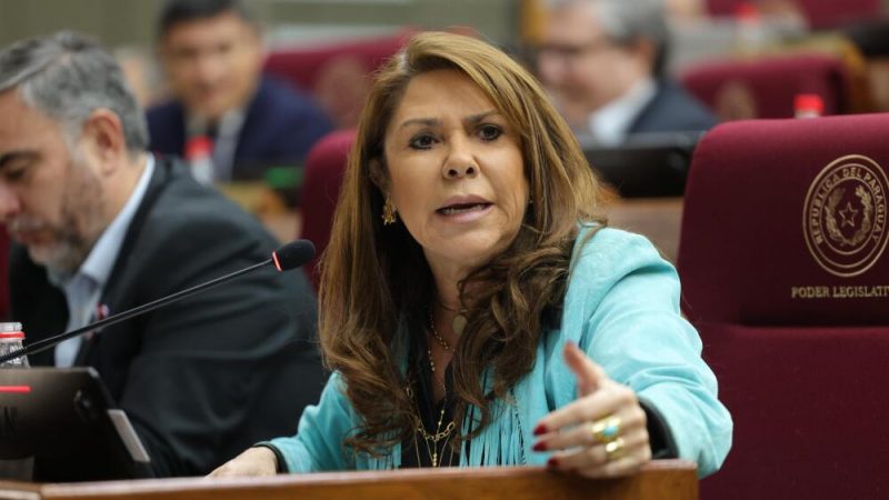 “Johanna debería quedarse en Diputados, Sole está libre para la intendencia”, apuntó senadora Celeste Amarilla