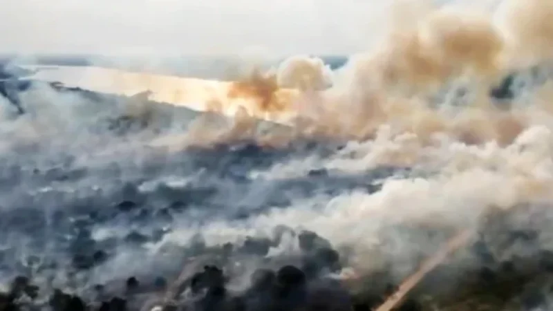 Controlan incendio en la Costanera Sur de Asunción