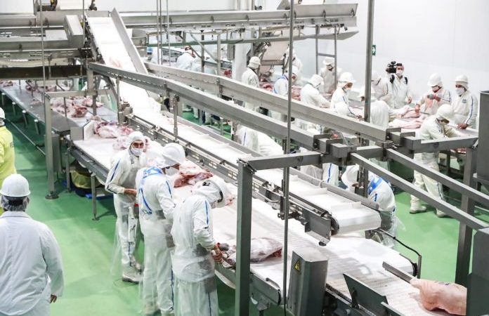 Crecimiento del sector porcino apuntala a Paraguay como referente mundial en producción de proteína animal