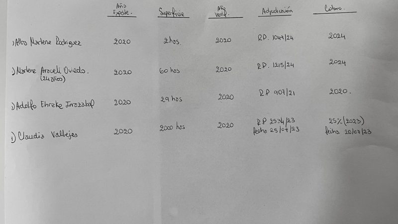 Indignación en el Senado: informe de Ruiz Díaz sobre tierras en Carmelo Peralta fue un simple papel sin respaldo