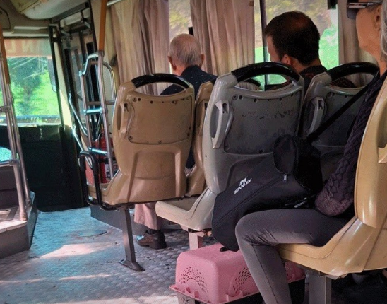 Magno S.R.L. pide disculpas por incidente con pasajera y su mascota