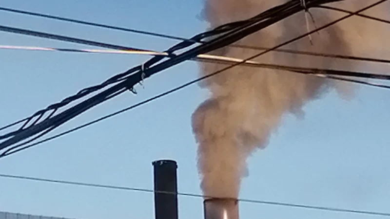 Justicia confirma ordenanzas que obliga a frigoríficos de Tablada Nueva suspender la faena