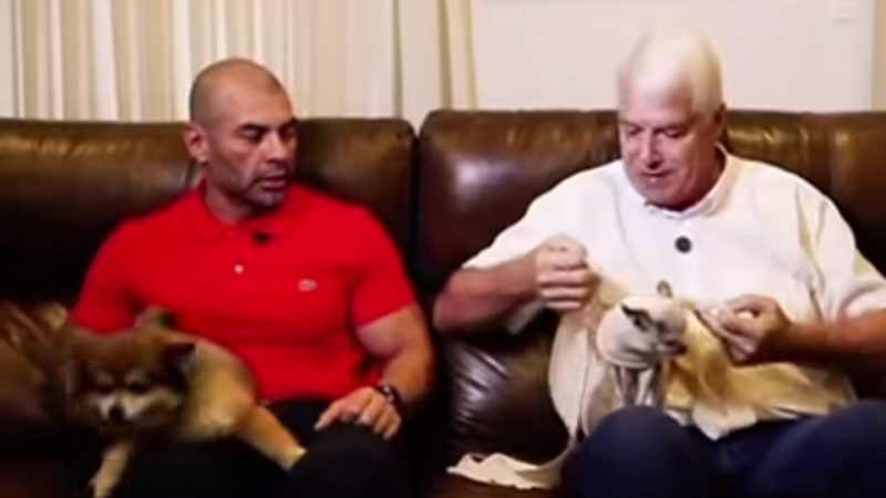 Wiens enseña a cuidar a las mascotas en Año Nuevo: París, la perrita de Hugo Ramírez, aprende el método Tellington