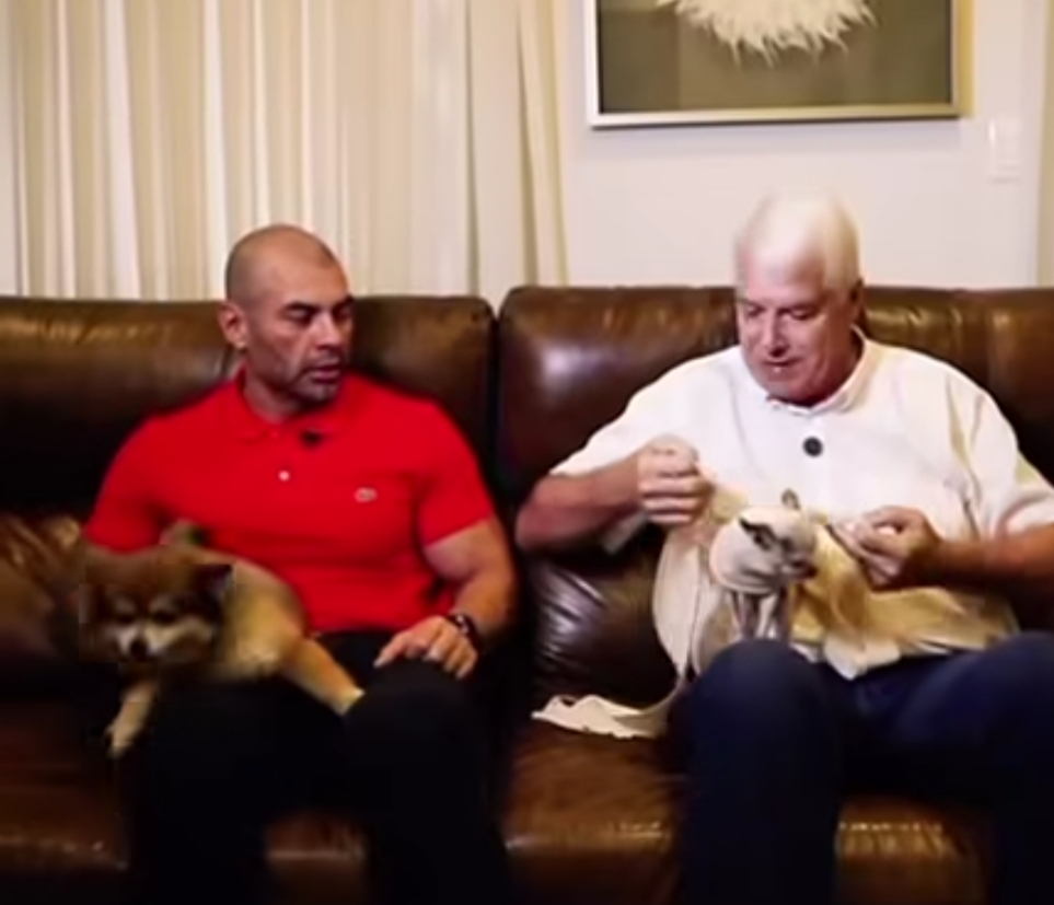 Wiens enseña a cuidar a las mascotas en Año Nuevo: París, la perrita de Hugo Ramírez, aprende el método Tellington