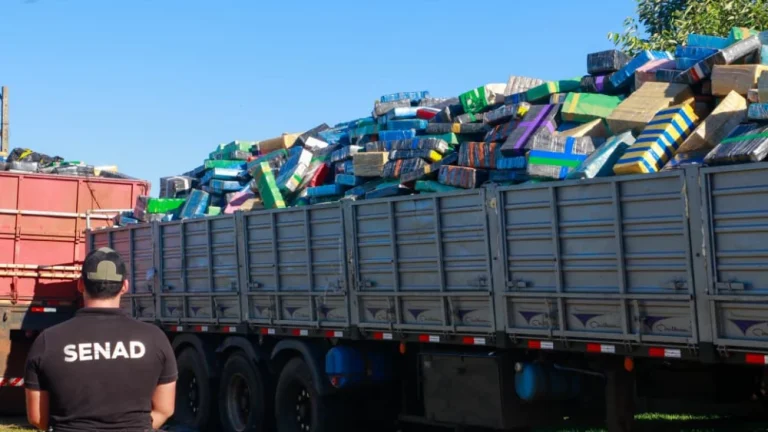 Senad destaca “récord histórico” tras incautar 88 toneladas de marihuana de convoy narco en Canindeyú