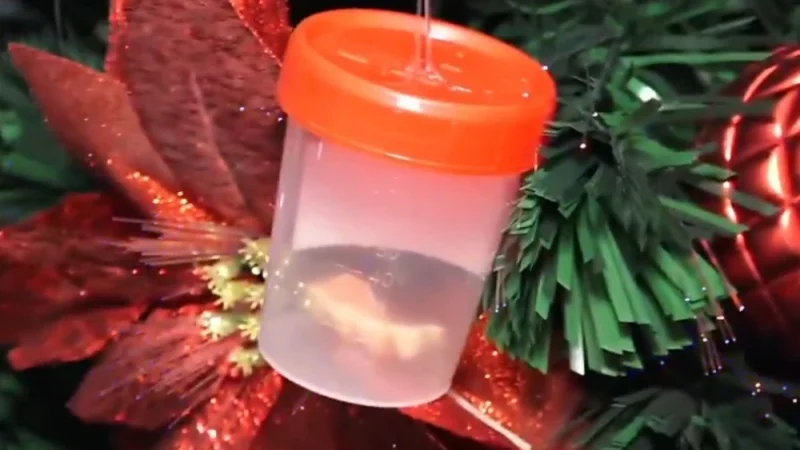 Ineram “decora” arbolito de Navidad con cuerpos extraños extraídos de las vías respiratorias