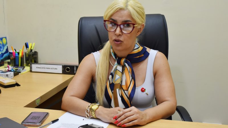 Sistema unificado de licencias de conducir se implementará este año