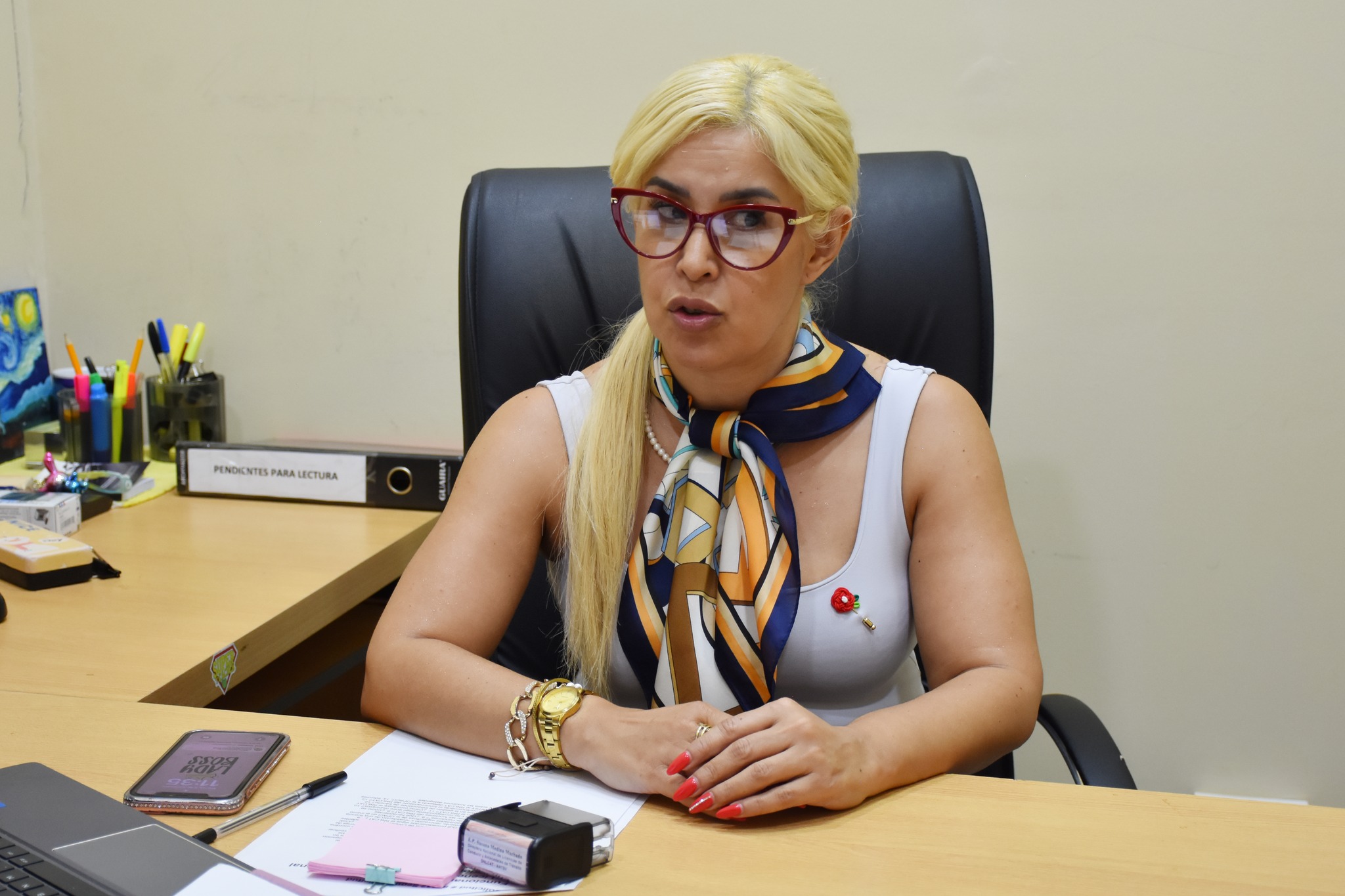 Sistema unificado de licencias de conducir se implementará este año