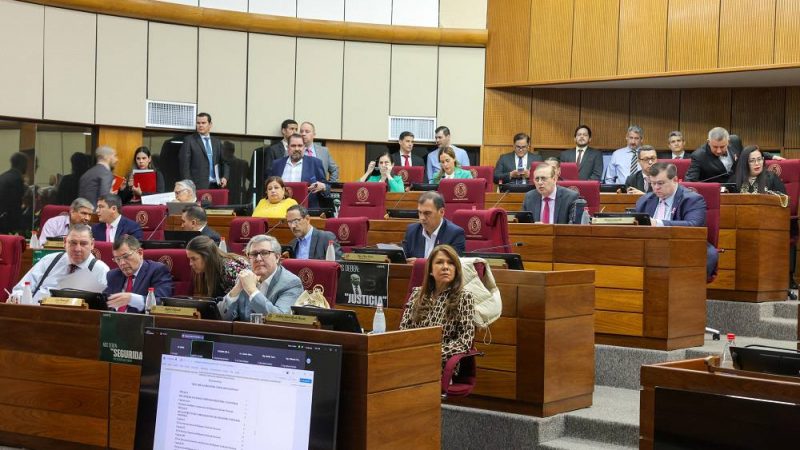 Nakayama dinamita la caja parlamentaria: “Nunca debió existir”